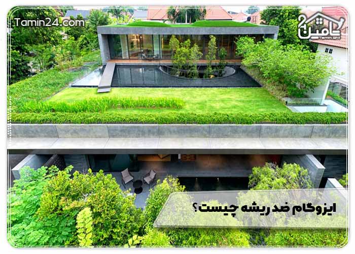 ایزوگام ضد ریشه چیست؟