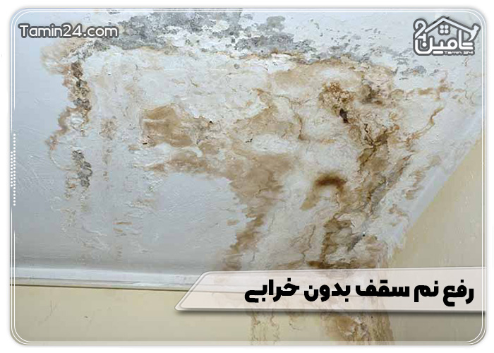 رفع نم سقف بدون خرابی