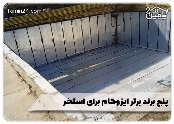 5 برند برتر ایزوگام برای استخر